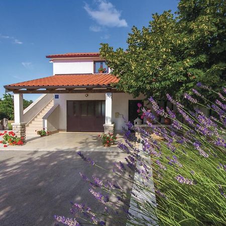 Amazing Apartment In Pazin With Wifi Katun Lindarski Bagian luar foto